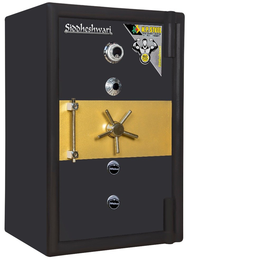 Bullion safe